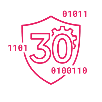 Ikona 30 let zkušeností s enterprise dodávkami
